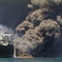 زیست‌بوم خلیج‌فارس زیر چکمه نفت