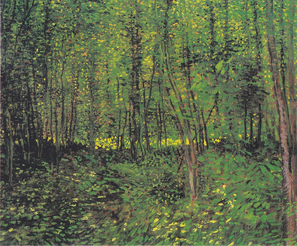 Van_Gogh_-_Bäume_und_Unterholz2