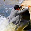 اعتراض عضو شورای شهر بندرعباس به ورود فاضلاب به دریا
