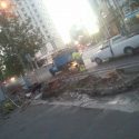 قطع شبانه درختان خیابان ولیعصر از سوی شهرداری تهران