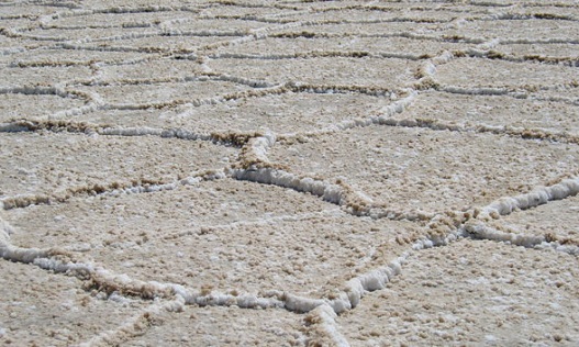 هشدار در مورد بی‌توجهی دولت به نجات دریاچه ارومیه