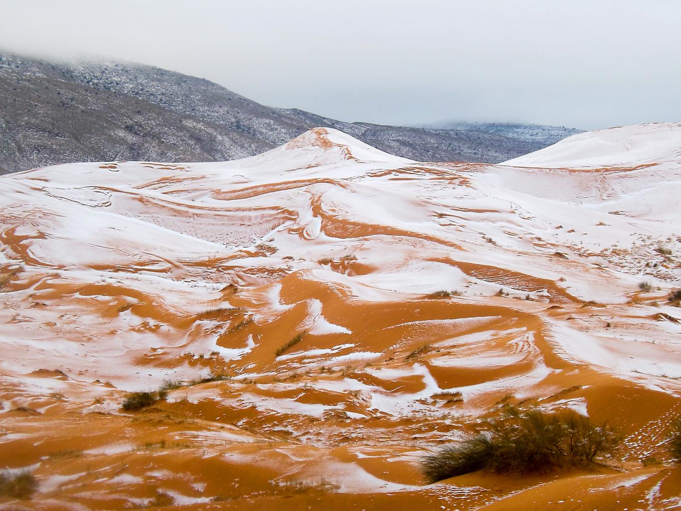 صحرای افریقا برای اولین بار در چهل سال گذشته سفیدپوش شد
