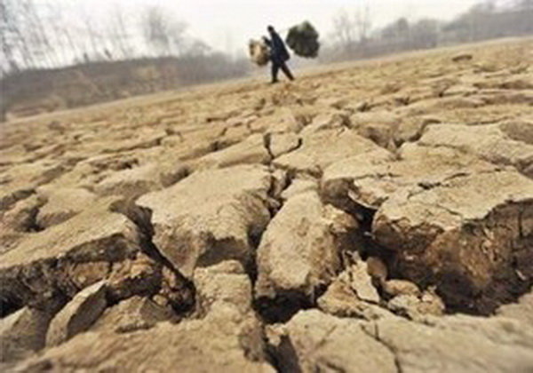 ۸۲ درصد مساحت کشور دچار خشکسالی است