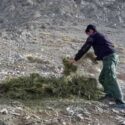 علوفه‌رسانی خودجوش روستاییان «قلعه‌بالا» به حیات وحش