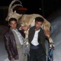 نجات کل کوهی گرفتار در برف در اورامان سروآباد