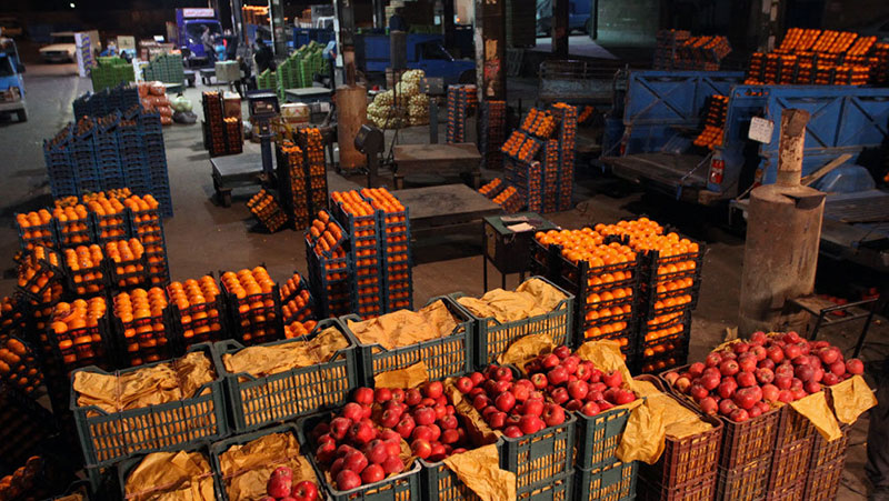 واردات از مصر و ترکیه، پوسیدن پرتقال ایرانی در انبارها