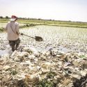 درخواست از دادستانی برای توقف آبیاری مزارع با فاضلاب