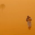 «آلودگی هوا در ایران ۸ برابر استاندارد جهانی است»