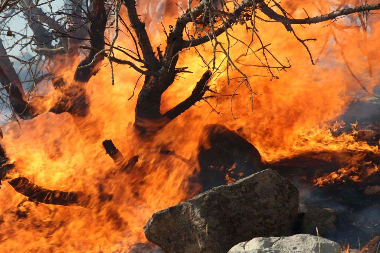 افزایش ۱۰برابری آتش‌سوزی منابع طبیعی خوزستان در سال جاری