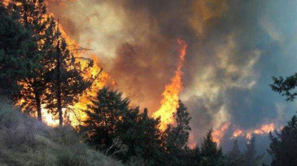 گسترش آتش‌سوزی در پارک ملی گلستان