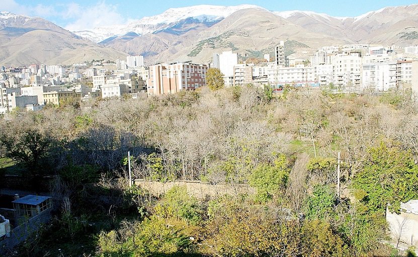 ساخت‌و‌ساز بدون مجوز در باغ‌های تهران