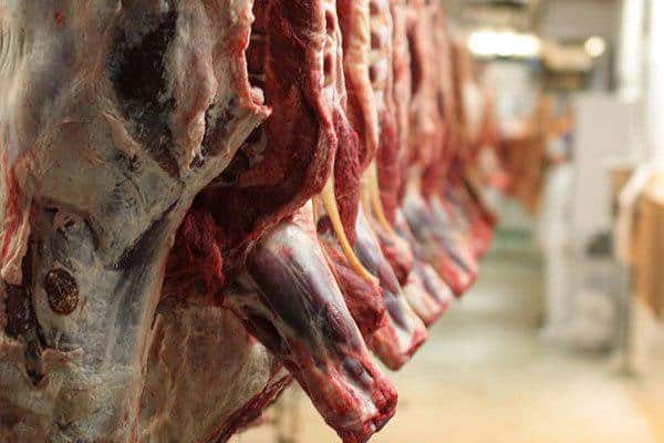 درخواست‌ اروپایی‌ها برای صادرات گوشت گاو به ایران بدون محدودیت سنی