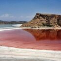 انتقاد از عملکرد «بسیار ضعیف» سازمان محیط زیست درباره دریاچه ارومیه