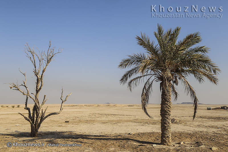 ۹۷ درصد مساحت ایران دچار خشکسالی ده ساله است