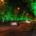 نورپردازی رفته‌رفته درختان ولیعصر را خواهد کشت