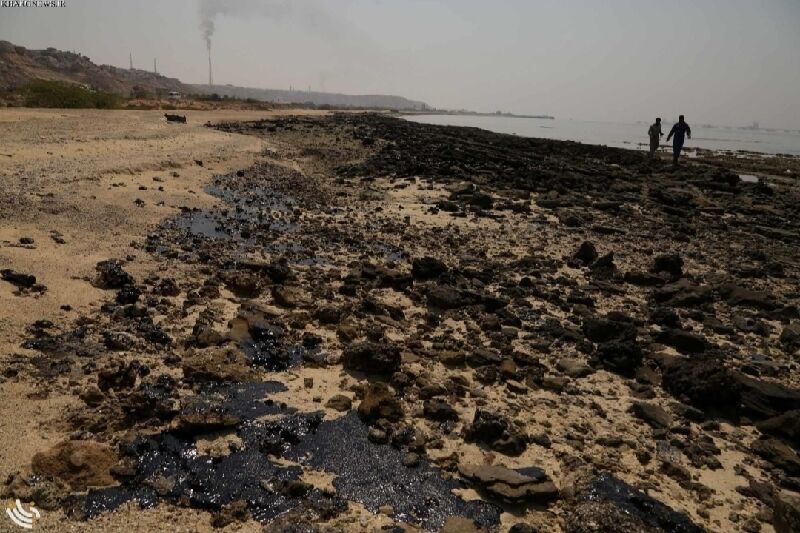 وضعیت آلودگی خلیج فارس بحرانی است