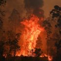 آتش‌سوزی بی‌سابقه در استرالیا