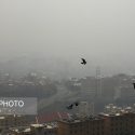 «اراده‌ای برای مقابله با آلودگی هوا وجود ندارد»