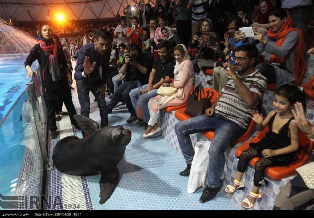 دلفیناریوم در ایران، کارکردی تفریحی بر پایه بهره‌کشی از پستانداران دریایی است.