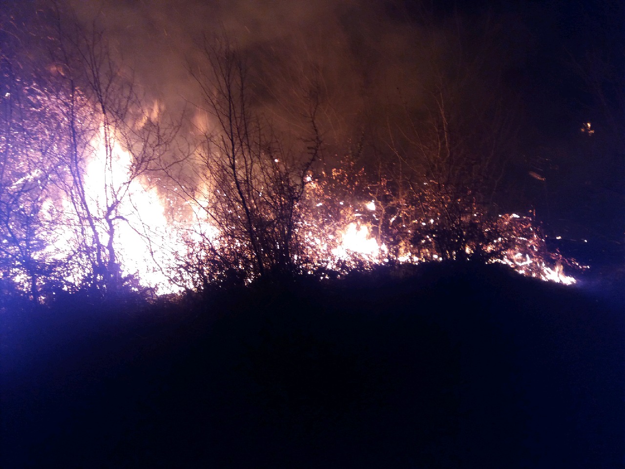 جنگل‌های رودبار و سیاهکل همچنان در آتش می‌سوزند