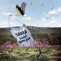 محیط‌زیستی‌های لبنان جلوی فساد را گرفتند