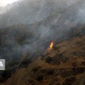 بوشهری‌ها امکانات اطفاء حریق و بالگرد آب‌پاش می‌خواهند