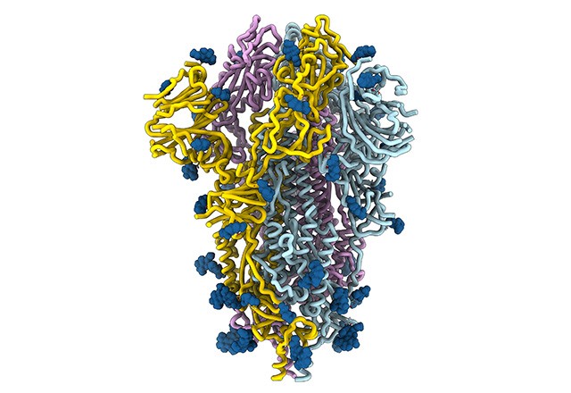 ساختار پروتئین اسپایک ویروس سارس-کو-۲