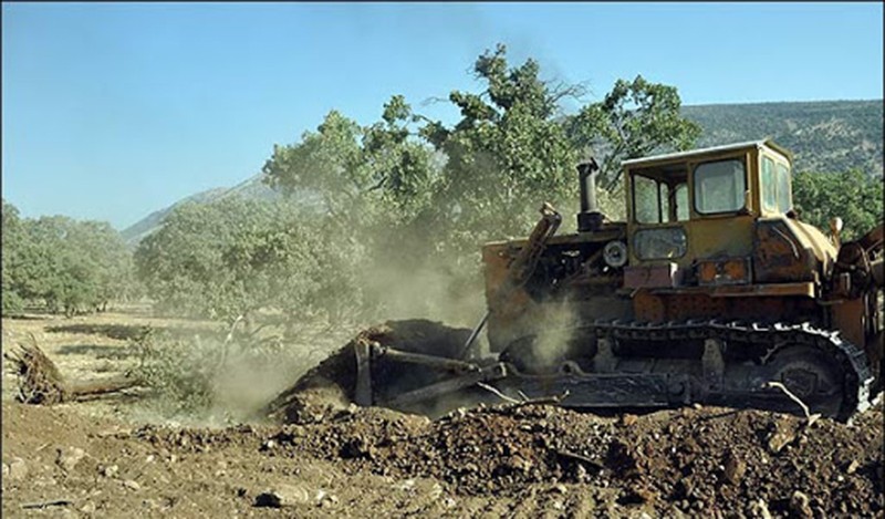 جاده‌ای به مقصد نابودی جنگل‌های بلوط ۵۰۰ ساله