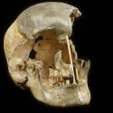 آمیزش گسترده انسان‌های نخستین در اروپا و نئاندرتال‌ها