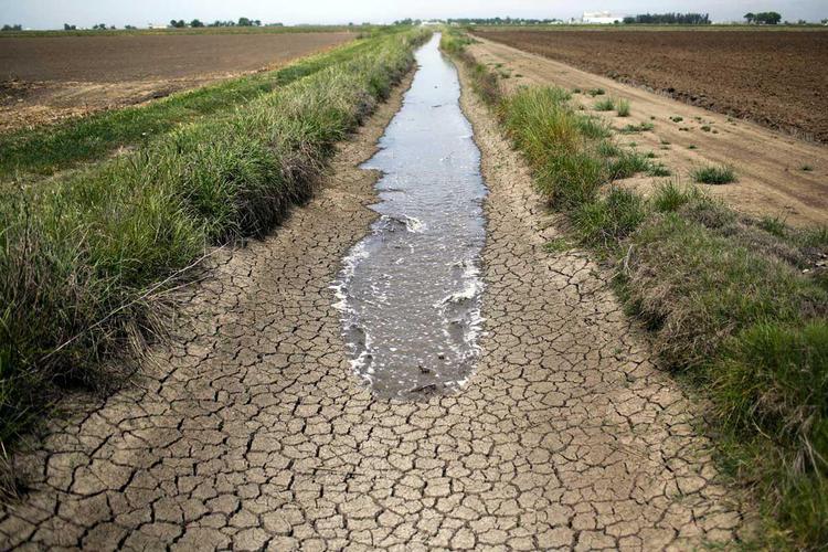 صد درصد مساحت کشور تحت تاثیرخشکسالی است