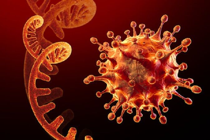 ظهور «اومیکرون»؛ گونه خطرناک جدید ویروس کرونا