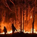 خاکستر شدن ۱۰۰هزار هکتار جنگل و مرتع طی ۵ سال